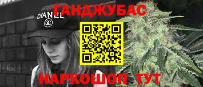 индика Беслан